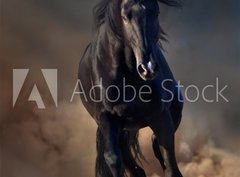 Fototapeta papír 360 x 266, 78859419 - Beautiful black stallion run in desert dust against sunset sky - Krásný černý hřebec běží v pouštním prachu proti západu slunce