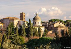 Fototapeta pltno 174 x 120, 79070429 - Roma Foro Romano Monte palatino