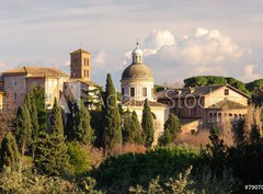 Fototapeta330 x 244  Roma Foro Romano Monte palatino, 330 x 244 cm