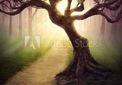 Fototapeta papr 184 x 128, 79255911 - Forest pathway - Lesn cesta