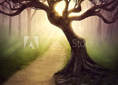Samolepka flie 200 x 144, 79255911 - Forest pathway - Lesn cesta