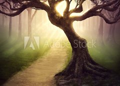 Fototapeta vliesov 200 x 144, 79255911 - Forest pathway - Lesn cesta