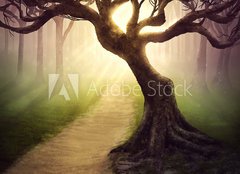 Fototapeta pltno 240 x 174, 79255911 - Forest pathway - Lesn cesta