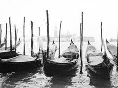 Fototapeta270 x 200  venise, gondoles, 270 x 200 cm