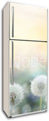 Samolepka na lednici flie 80 x 200, 79562753 - field of dandelion in sunset - bokeh and allergy
