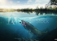 Samolepka flie 100 x 73  Fishing. Close up shut of a fish hook under water, 100 x 73 cm