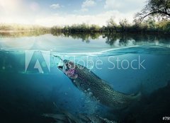 Fototapeta160 x 116  Fishing. Close up shut of a fish hook under water, 160 x 116 cm