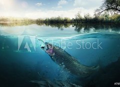 Fototapeta200 x 144  Fishing. Close up shut of a fish hook under water, 200 x 144 cm