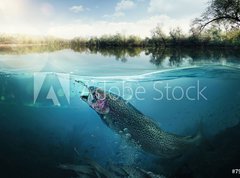 Samolepka flie 270 x 200  Fishing. Close up shut of a fish hook under water, 270 x 200 cm