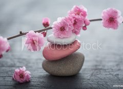 Fototapeta pltno 160 x 116, 79754664 - fleurs zen