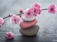 Fototapeta papír 360 x 266, 79754664 - fleurs zen