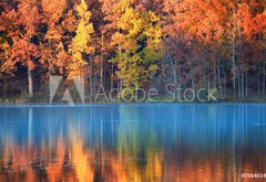 Fototapeta pltno 174 x 120, 79840142 - autumn reflections - podzimn reflexe