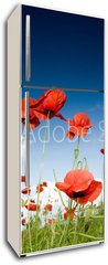 Samolepka na lednici fólie 80 x 200, 7988528 - Field with poppies under dark sky - Pole s mák pod temnou oblohou