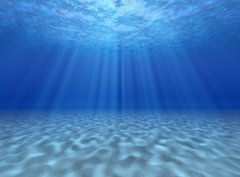 Fototapeta330 x 244  The sun`s rays underwater, 330 x 244 cm