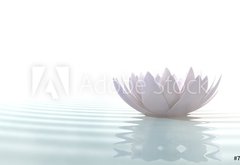 Fototapeta pltno 174 x 120, 79997387 - Zen lotus on water - Zen lotus na vod