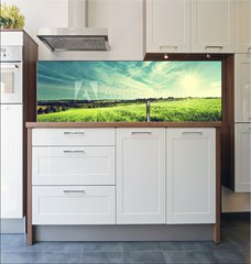 Fototapeta do kuchyn flie 180 x 60  field of barley in sunset time, 180 x 60 cm