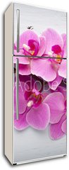 Samolepka na lednici flie 80 x 200, 80265794 - Pink orchid flower.