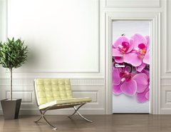 Samolepka na dveře fólie 90 x 220, 80265794 - Pink orchid flower. - Růžová orchidejová květina.