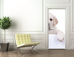 Samolepka na dvee flie 90 x 220, 80290428 - Puppy dog holding sign or banner isolated
