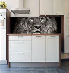 Fototapeta do kuchyn flie 180 x 60  arrogant lion, 180 x 60 cm