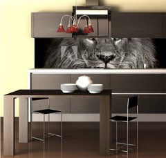 Fototapeta do kuchyn flie 260 x 60  arrogant lion, 260 x 60 cm