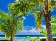 Fototapeta plátno 160 x 116, 80783093 - Few palm trees overlooking tropical beach on Cook Islands