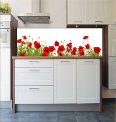 Fototapeta do kuchyn flie 180 x 60, 81019876 - red poppy