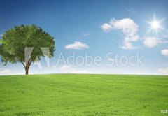 Fototapeta174 x 120  Landschaft mit Baum, 174 x 120 cm