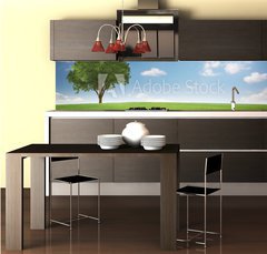 Fototapeta do kuchyn flie 260 x 60  Landschaft mit Baum, 260 x 60 cm