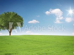 Fototapeta330 x 244  Landschaft mit Baum, 330 x 244 cm