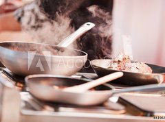 Samolepka flie 270 x 200  chef at work, 270 x 200 cm