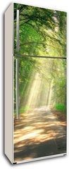 Samolepka na lednici fólie 80 x 200, 8232027 - Strahlengang 3 - Paprsková cesta 3