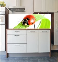 Fototapeta do kuchyn flie 180 x 60  ladybug go to you, 180 x 60 cm