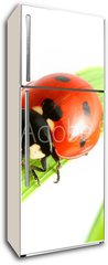 Samolepka na lednici flie 80 x 200  ladybug go to you, 80 x 200 cm