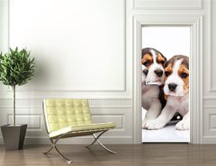 Samolepka na dvee flie 90 x 220, 82868571 - Beagle puppies on white background - Beagle tata na blm pozad