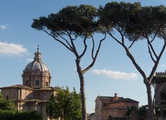 Fototapeta pltno 160 x 116, 83188340 - Tempio Antonino Faustina
