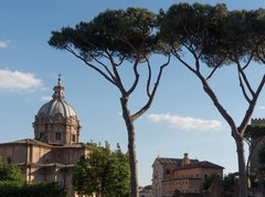 Samolepka flie 270 x 200, 83188340 - Tempio Antonino Faustina