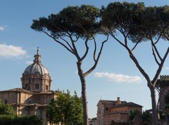 Fototapeta330 x 244  Tempio Antonino Faustina, 330 x 244 cm