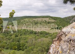 Fototapeta plátno 160 x 116, 83256331 - View of well known vineyard Sobes in Znojmo region, Moravia, Cze - Pohled na známé vinice Sobes v Znojmě, na Moravě, v Cze