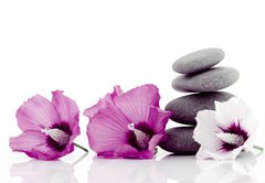 Samolepka flie 145 x 100, 8343881 - pebble with ibiscus flower - oblzky s ibiscus kvtina