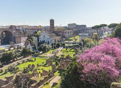 Samolepka flie 100 x 73  The Roman Forum in Rome, Italy, 100 x 73 cm