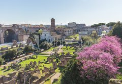 Samolepka flie 145 x 100, 83841599 - The Roman Forum in Rome, Italy - msk frum v m, Itlie