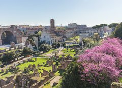 Samolepka flie 200 x 144, 83841599 - The Roman Forum in Rome, Italy