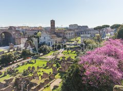 Samolepka flie 270 x 200, 83841599 - The Roman Forum in Rome, Italy - msk frum v m, Itlie