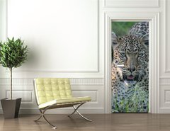 Samolepka na dvee flie 90 x 220, 8415986 - leopard