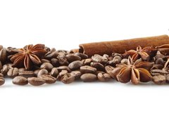 Fototapeta330 x 244  Scattered coffee beans in line on white, 330 x 244 cm