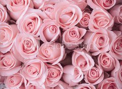 Fototapeta100 x 73  pink rose flower bouquet vintage background, 100 x 73 cm