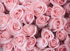 Fototapeta160 x 116  pink rose flower bouquet vintage background, 160 x 116 cm