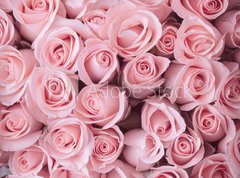 Fototapeta270 x 200  pink rose flower bouquet vintage background, 270 x 200 cm