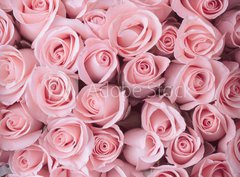 Fototapeta papír 360 x 266, 84365543 - pink rose flower bouquet vintage background - růžová růže květ kytice vinobraní pozadí